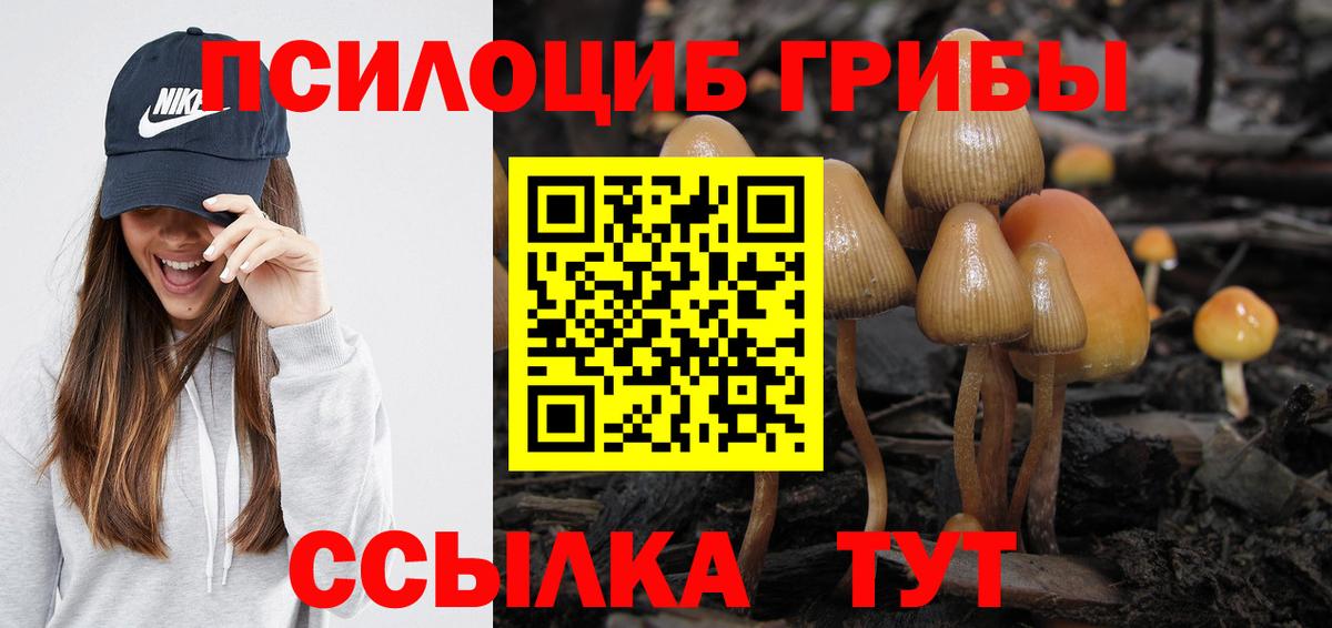 Галлюциногенные грибы Psilocybe  Вход с VPN  Саранск 