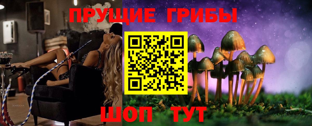 Псилоцибиновые грибы GOLDEN TEACHER Саранск