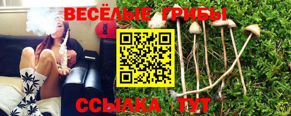  COCAIN Саранск